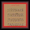Qashif-u-Rehman Qashif 01 * 22.03.2008 * 491 x 795 * (43KB)